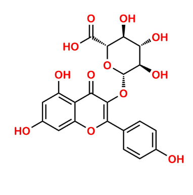 Kaempferol-3-Glucuronide