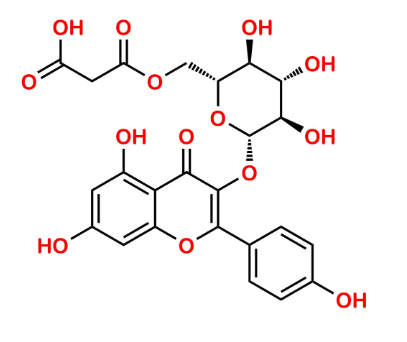 Kaempferol-3-O-(6-Malonyl-Glucoside)