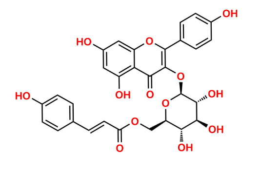 Kaempferol-3-O-(6”-O-p-Coumaroyl) Glucoside